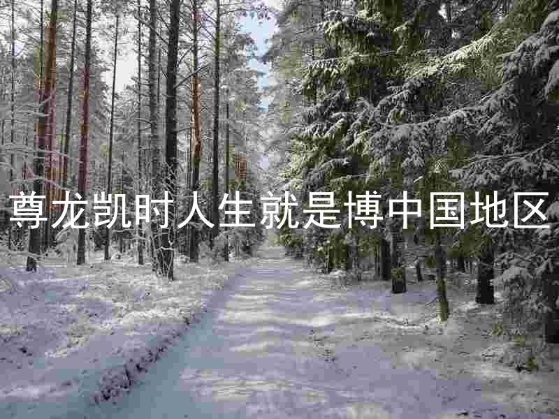 尊龙凯时人生就是博中国地区